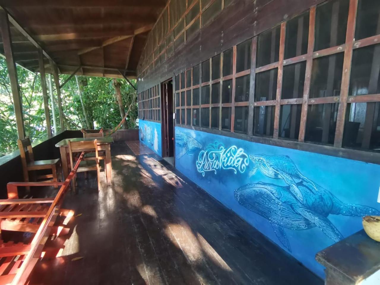 Pirate Drake Beach Hostel & Tour Company Drake Bay Exterior foto